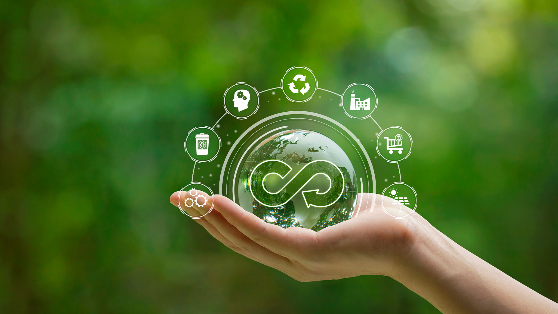 Programa de melhoria continua